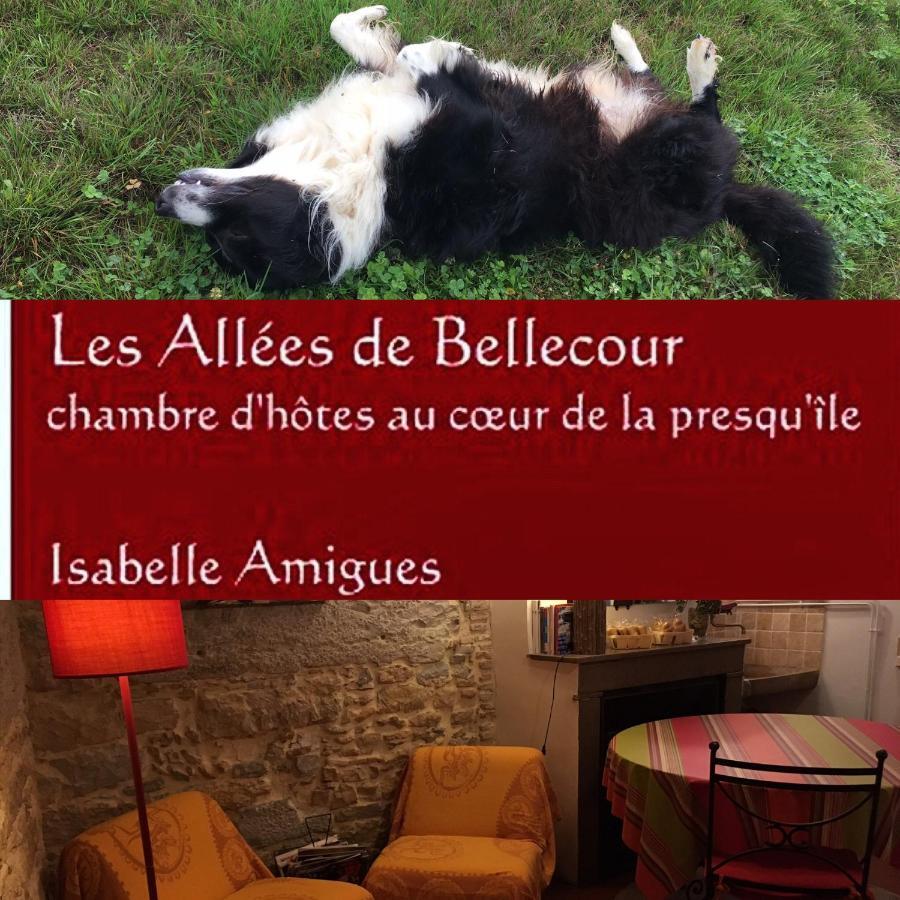 ליון Les Allees De Bellecour מראה חיצוני תמונה